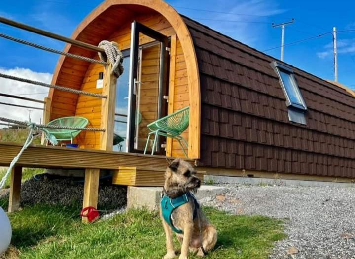 Отель The Sleepy Crofter Glamping - Achiltibuie Экстерьер фото